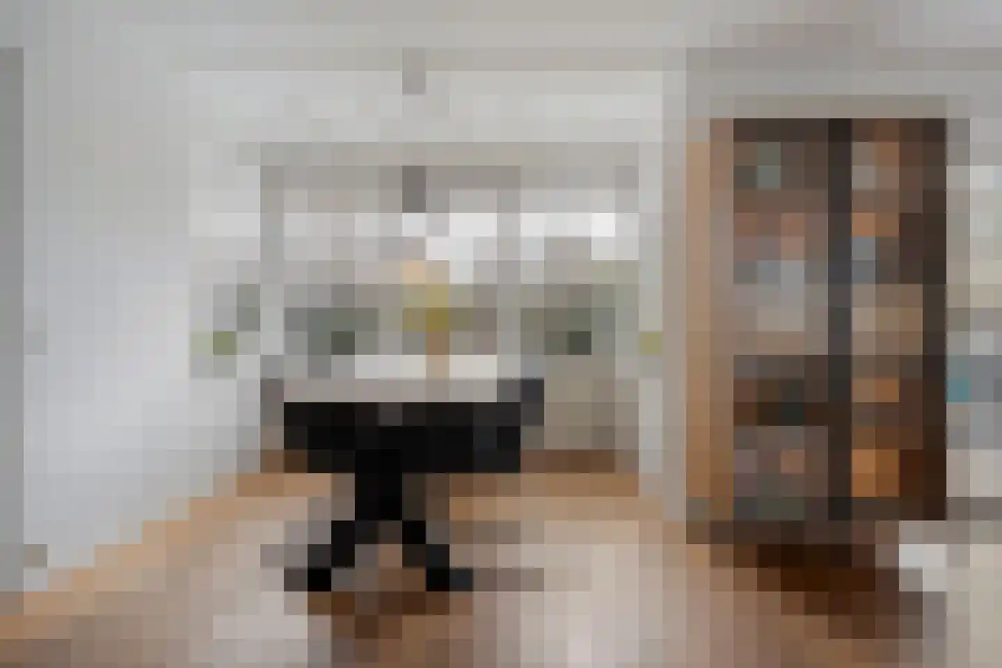 Rozenheim 95 Dedemsvaart thumbnail 12
