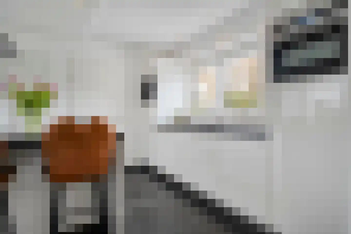 Rozenheim 95 Dedemsvaart thumbnail 18