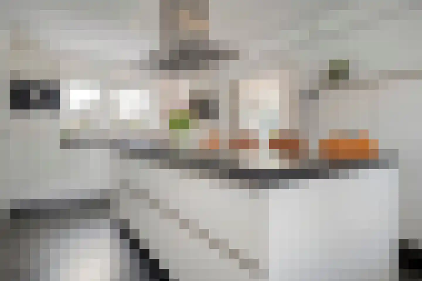 Rozenheim 95 Dedemsvaart thumbnail 20
