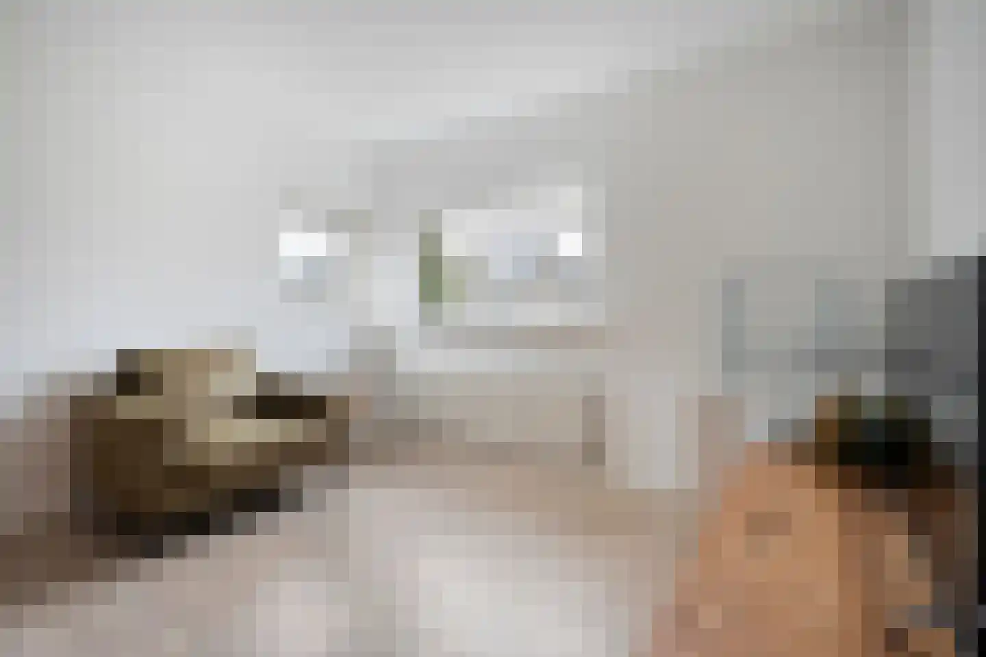 Rozenheim 95 Dedemsvaart thumbnail 22