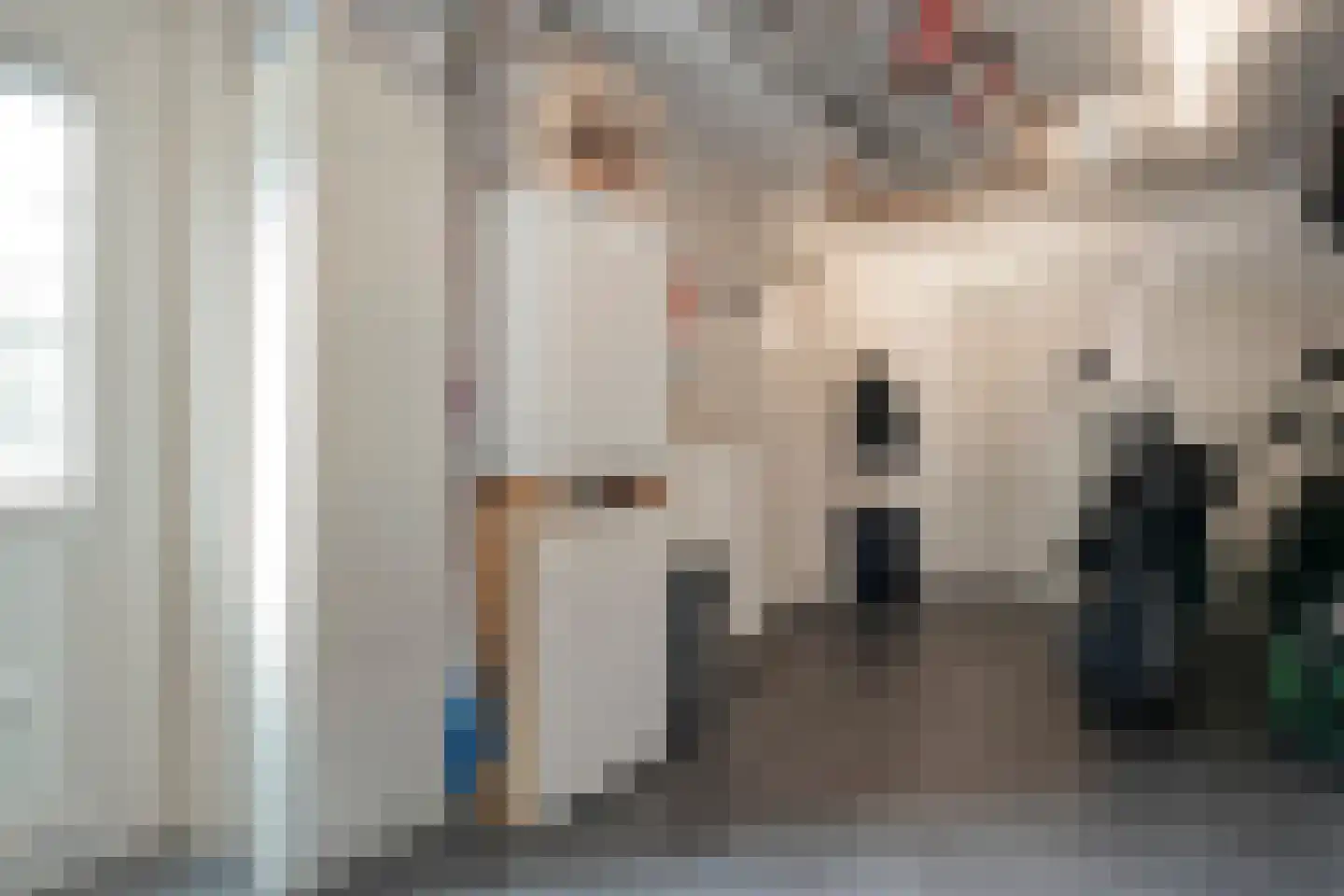 Rozenheim 95 Dedemsvaart thumbnail 33