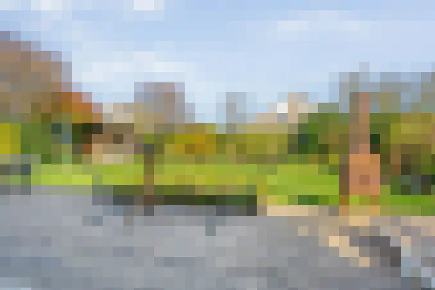 Rozenheim 95 Dedemsvaart thumbnail 40