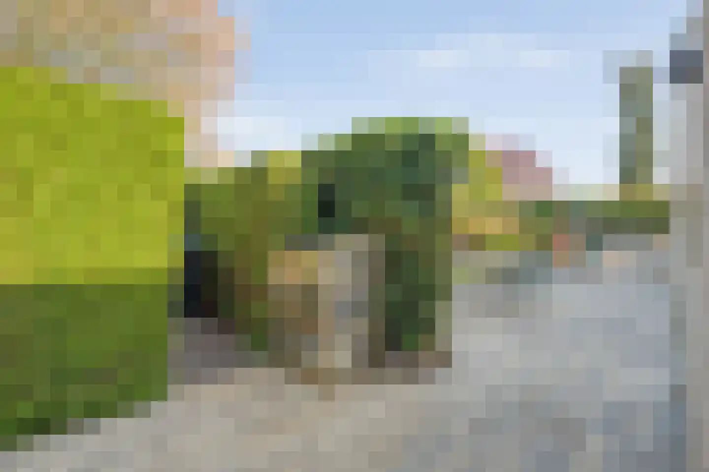 Rozenheim 95 Dedemsvaart thumbnail 41