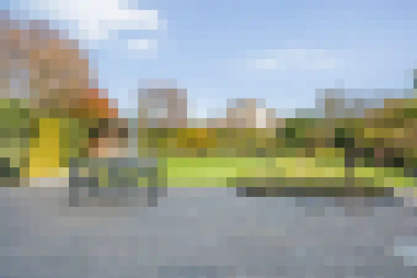 Rozenheim 95 Dedemsvaart thumbnail 43