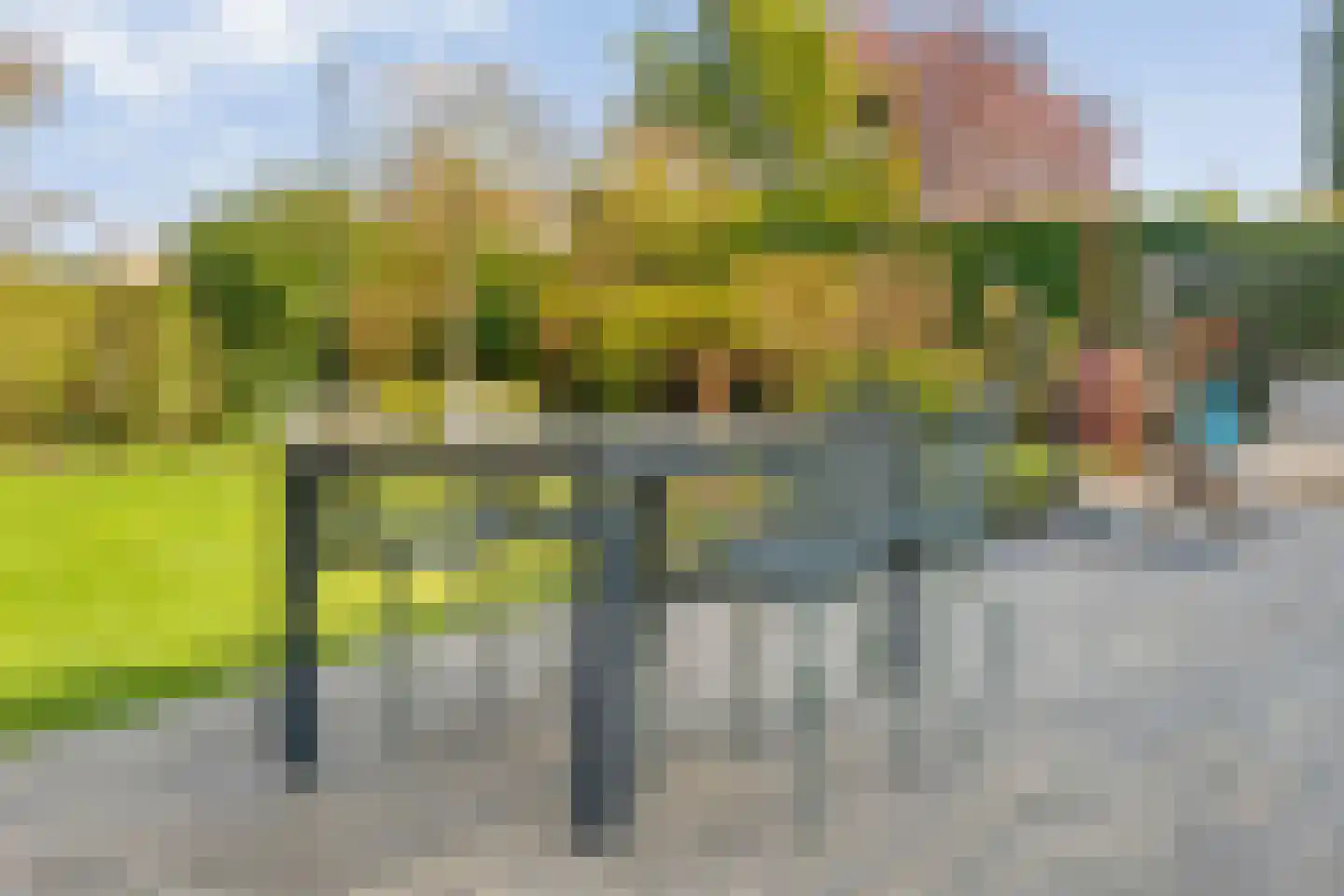 Rozenheim 95 Dedemsvaart thumbnail 45