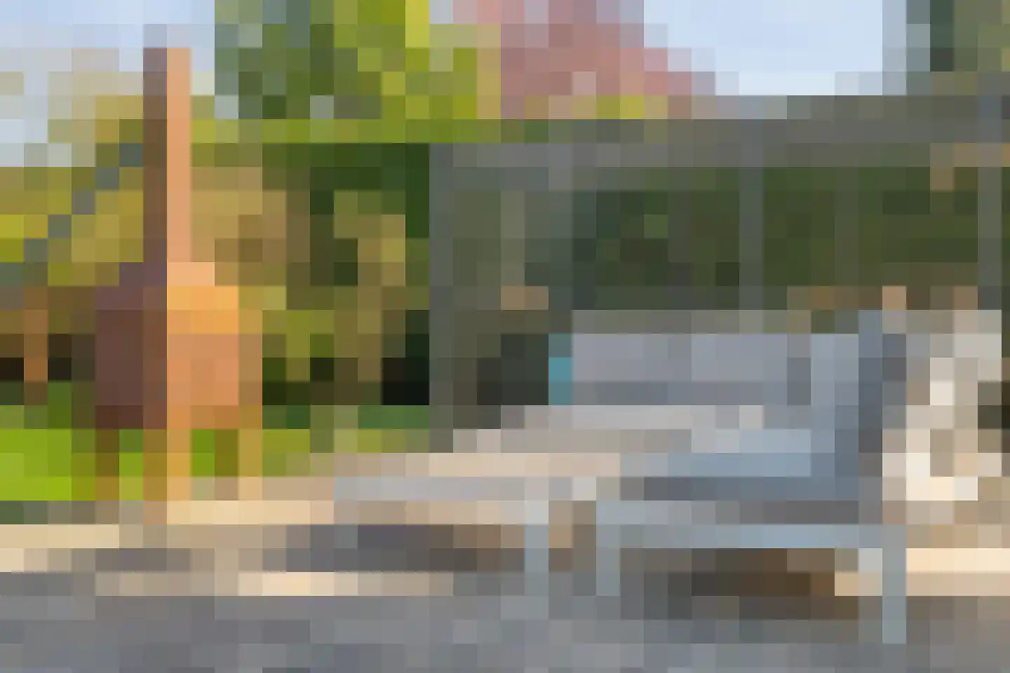 Rozenheim 95 Dedemsvaart thumbnail 46