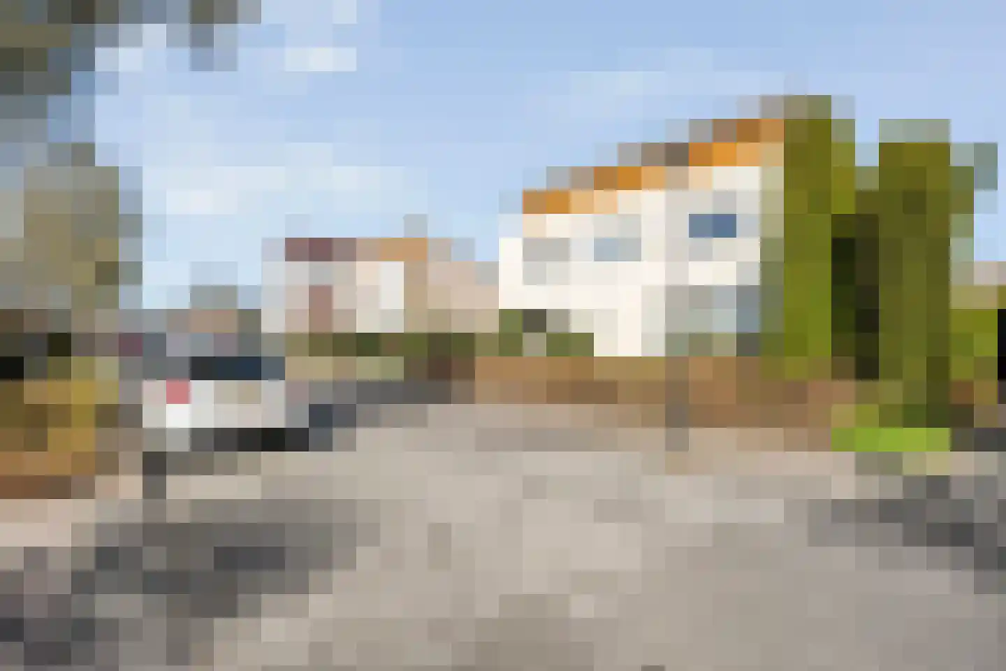 Rozenheim 95 Dedemsvaart thumbnail 47
