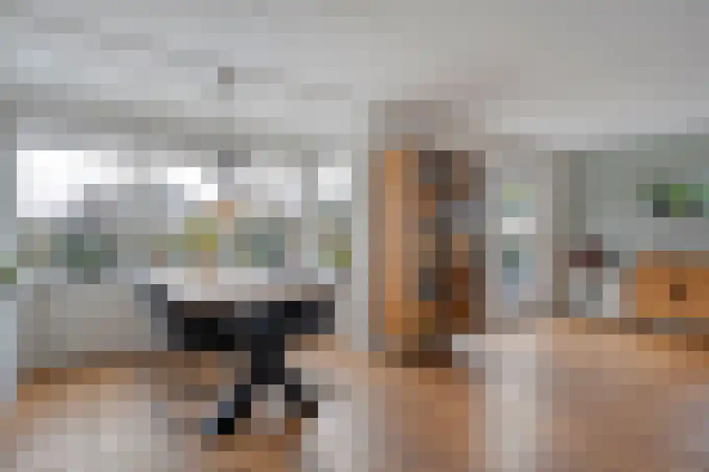 Rozenheim 95 Dedemsvaart thumbnail 9