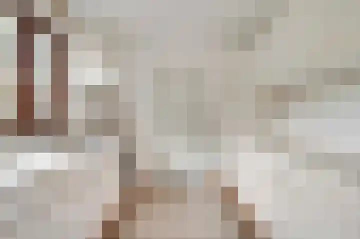 Rozenhof 1 Heythuysen thumbnail 15