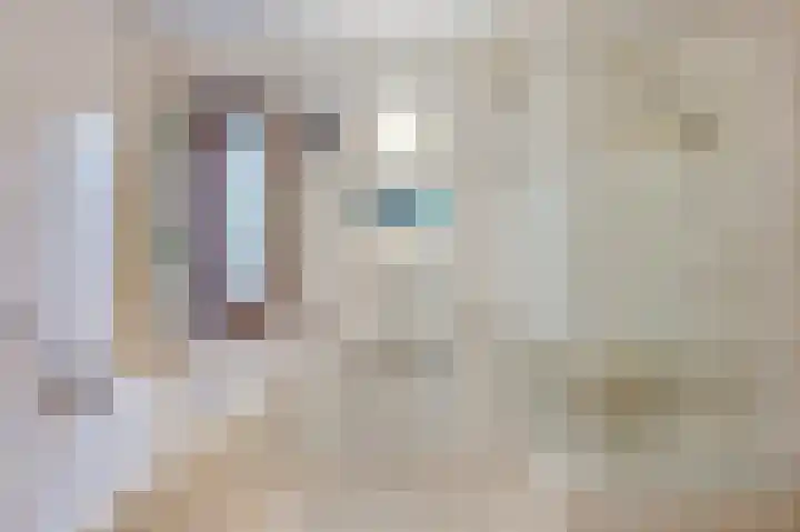 Rozenhof 1 Heythuysen thumbnail 21