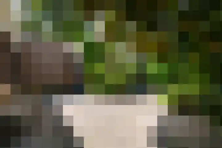 Rozenhof 1 Heythuysen thumbnail 4