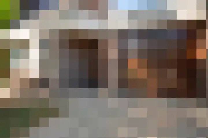 Rozenhof 1 Heythuysen thumbnail 40
