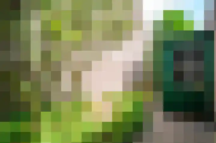 Rozenhof 1 Heythuysen thumbnail 42