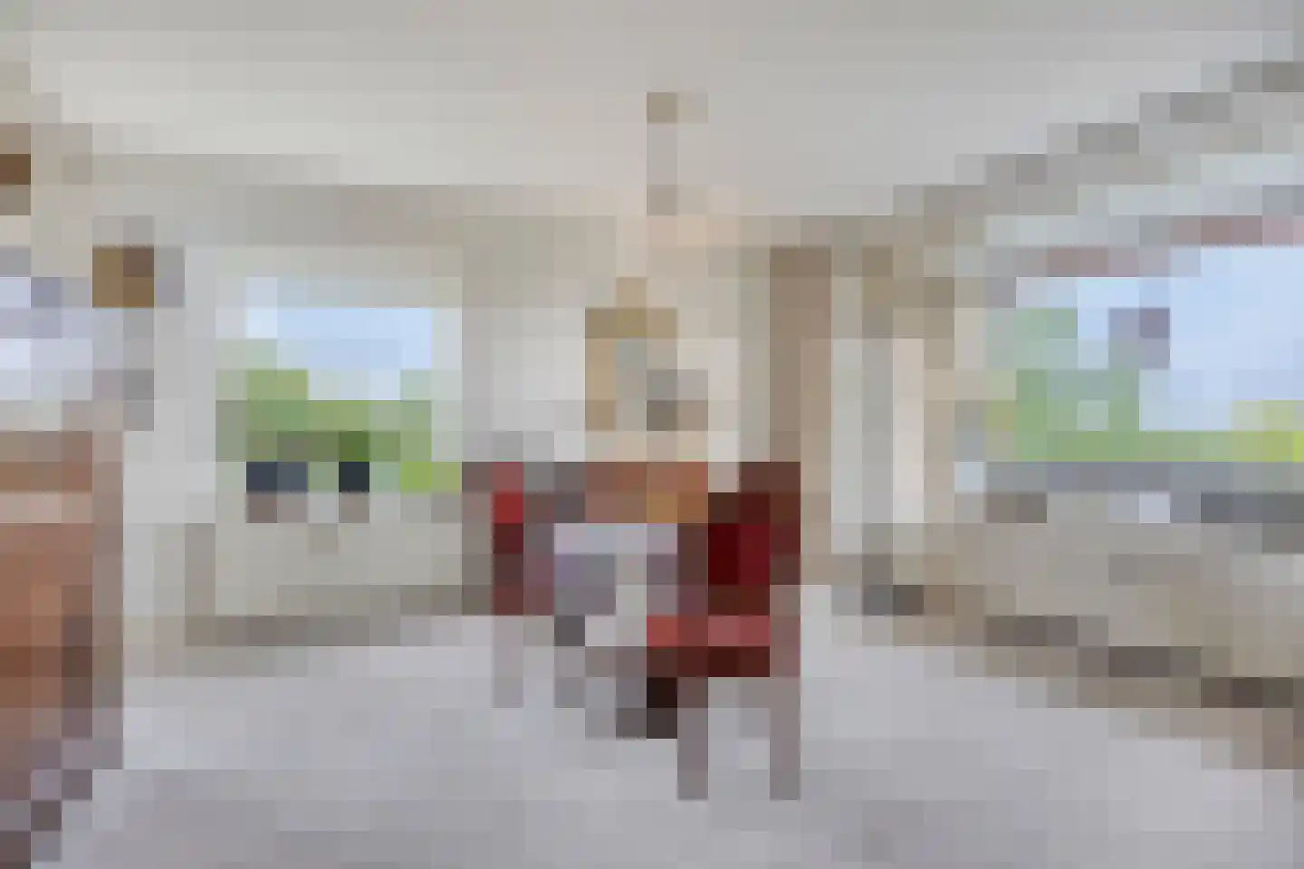 Rozenhof 100 Epe thumbnail 11
