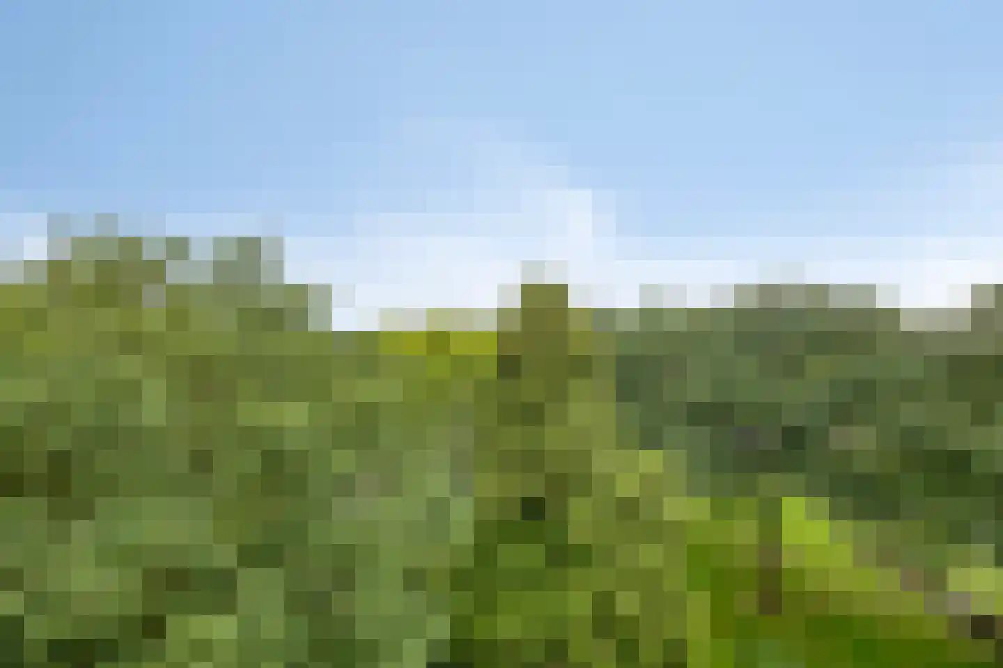 Rozenhof 100 Epe thumbnail 25