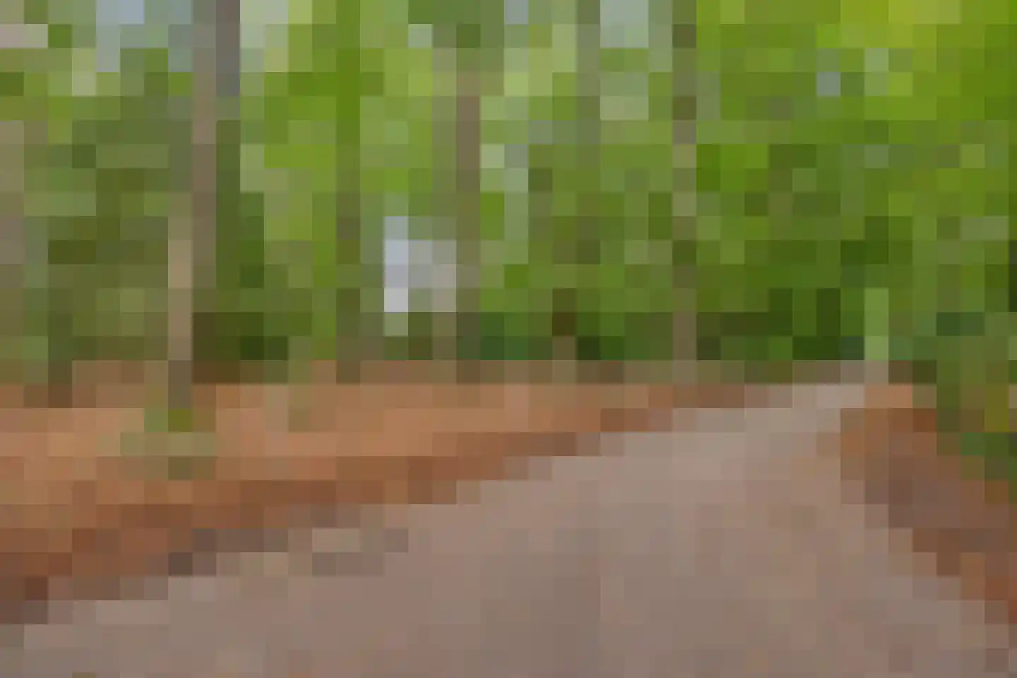 Rozenhof 100 Epe thumbnail 35