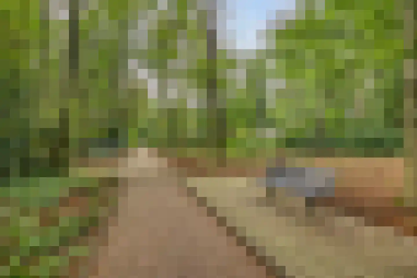 Rozenhof 100 Epe thumbnail 36