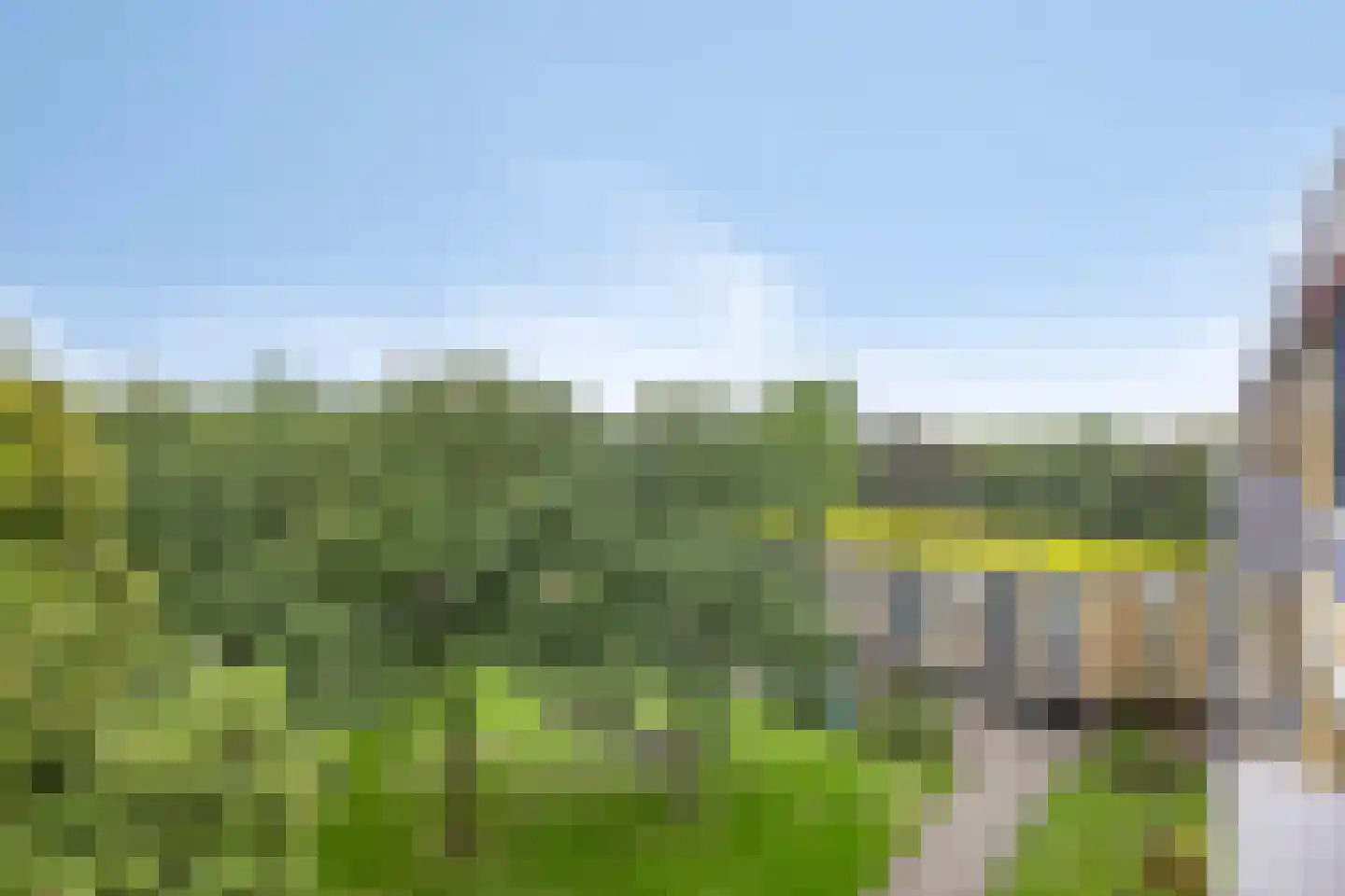 Rozenhof 100 Epe thumbnail 5