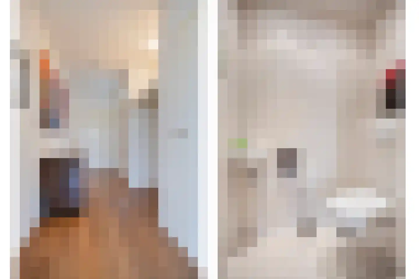 Rozenhof 100 Epe thumbnail 6
