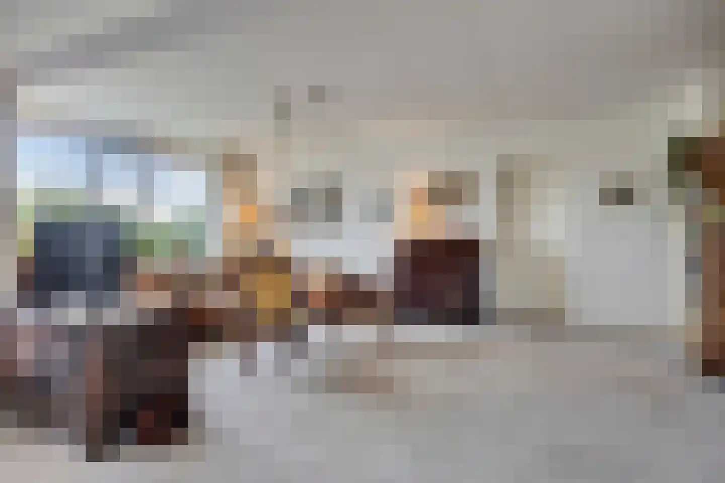Rozenhof 100 Epe thumbnail 9