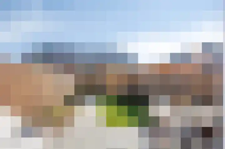 Rozenhof 11 Doetinchem thumbnail 13