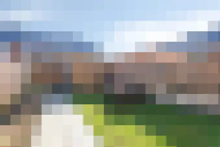 Rozenhof 11 Doetinchem thumbnail 16