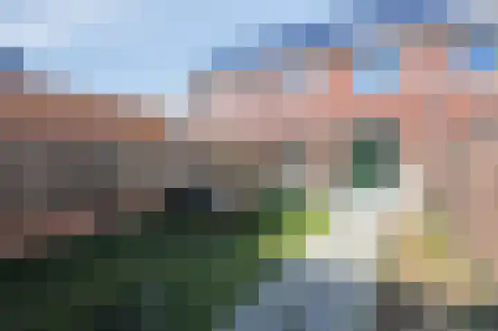 Rozenhof 11 Doetinchem thumbnail 18