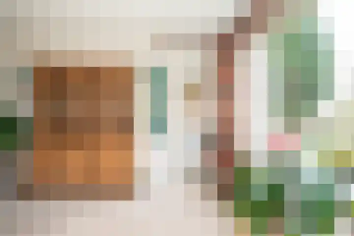 Rozenhof 12 Epe thumbnail 11