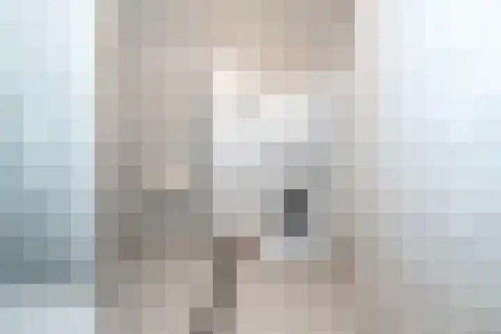 Rozenhof 12 Epe thumbnail 17