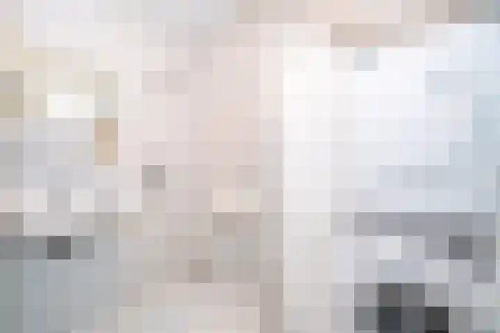 Rozenhof 12 Epe thumbnail 18