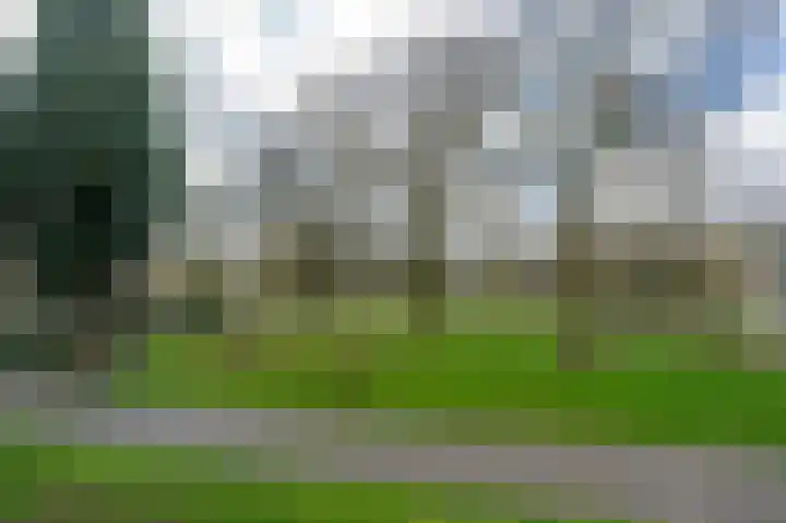Rozenhof 12 Epe thumbnail 22