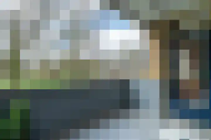 Rozenhof 12 Epe thumbnail 4