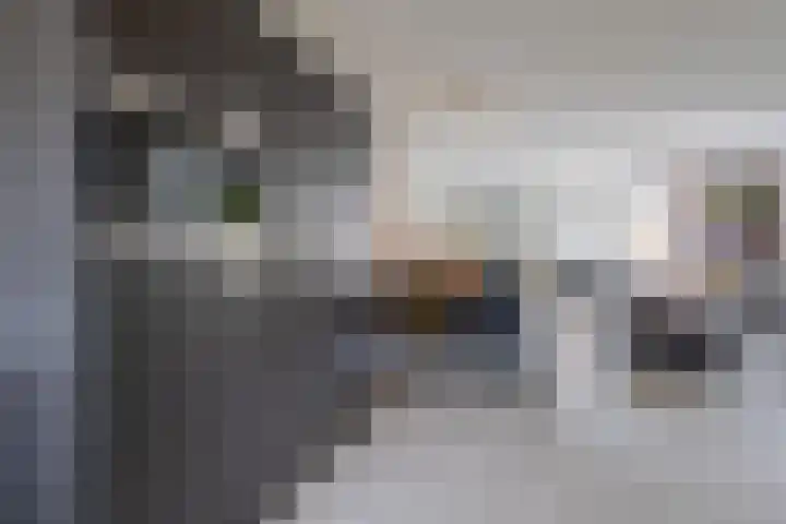 Rozenhof 120 Borne thumbnail 10