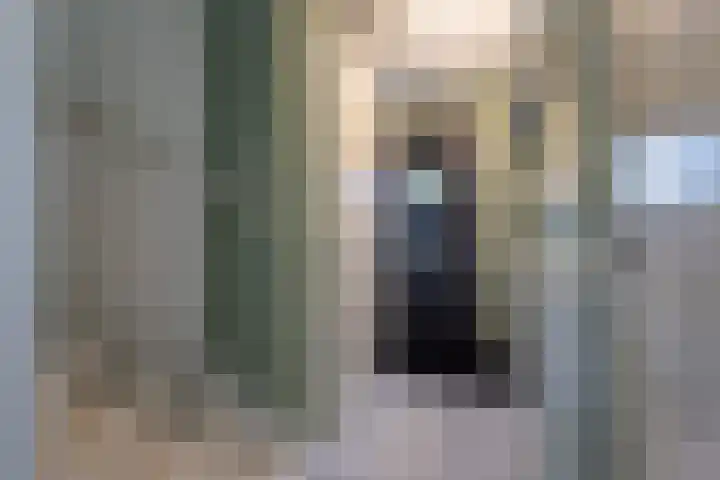 Rozenhof 120 Borne thumbnail 11