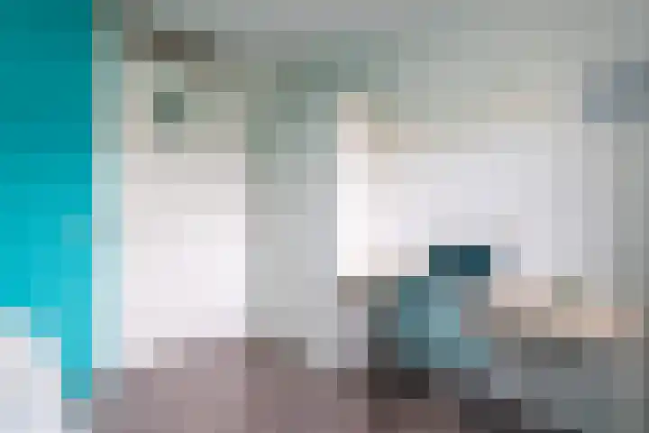 Rozenhof 120 Borne thumbnail 18
