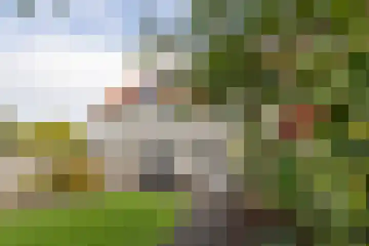 Rozenhof 120 Borne thumbnail 28
