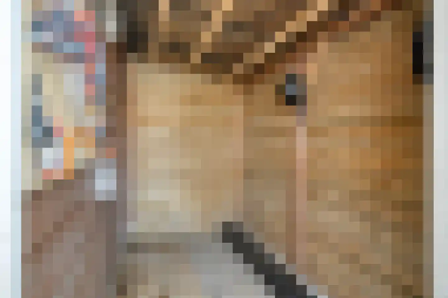 Rozenhof 15 Haps thumbnail 23