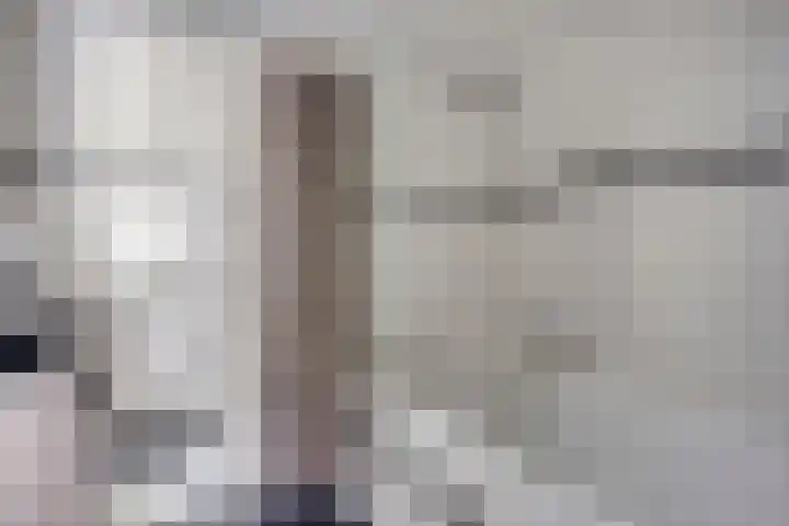 Rozenhof 16 Helmond thumbnail 22