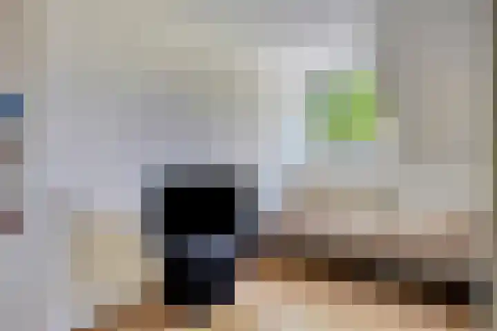 Rozenhof 16 Helmond thumbnail 27