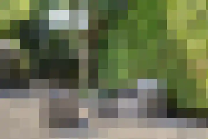 Rozenhof 16 Helmond thumbnail 32