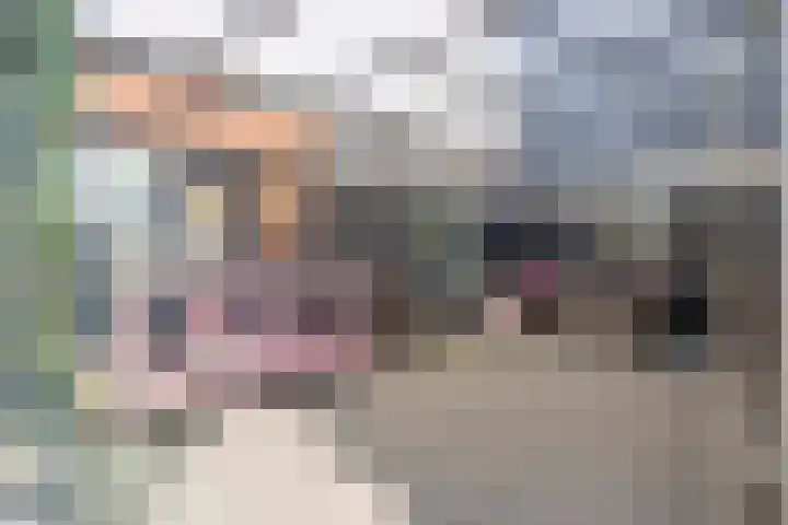 Rozenhof 16 Helmond thumbnail 33
