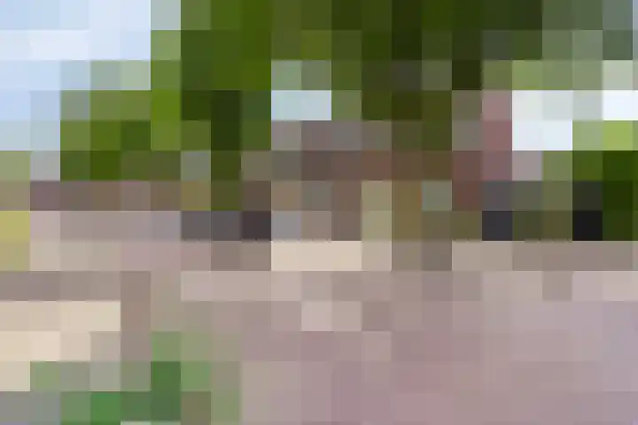 Rozenhof 16 Helmond thumbnail 35