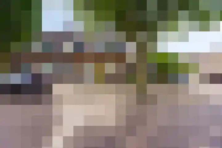 Rozenhof 16 Helmond thumbnail 43