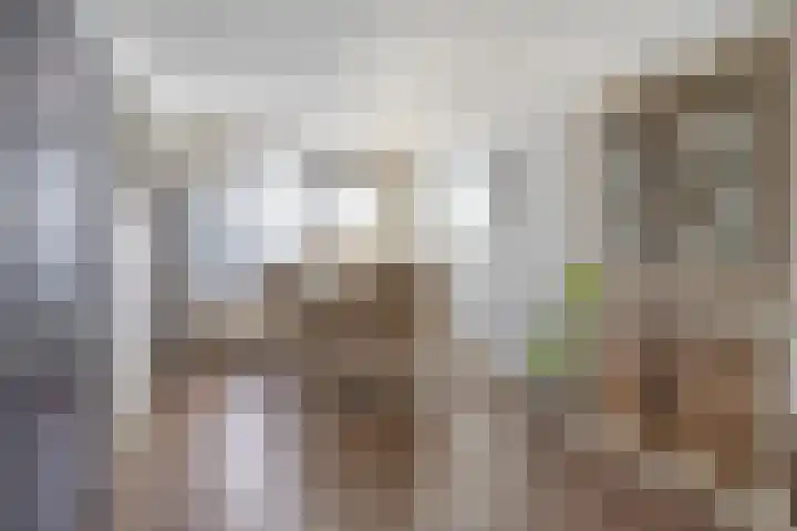 Rozenhof 16 Helmond thumbnail 5