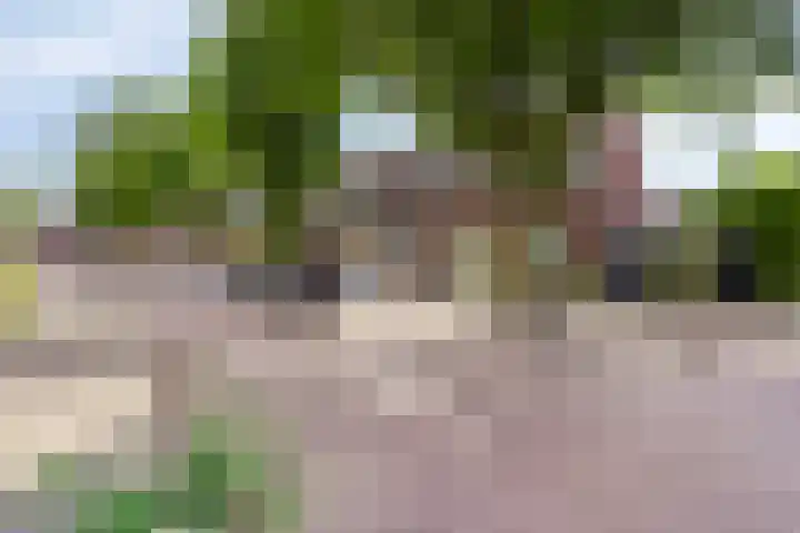Rozenhof 16 Helmond thumbnail 9