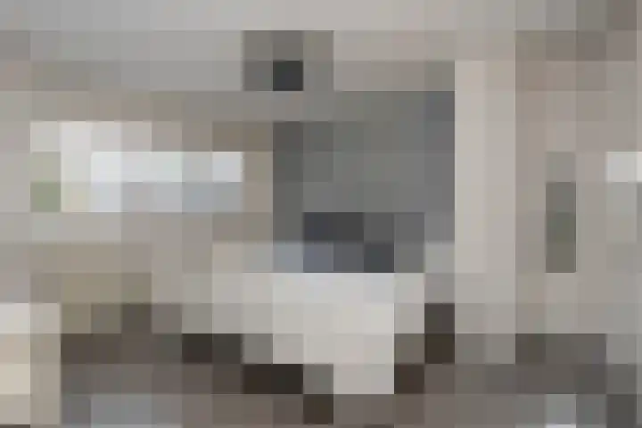 Rozenhof 17 Kortenhoef thumbnail 11