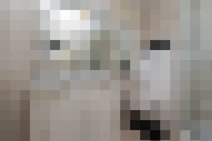 Rozenhof 17 Kortenhoef thumbnail 14