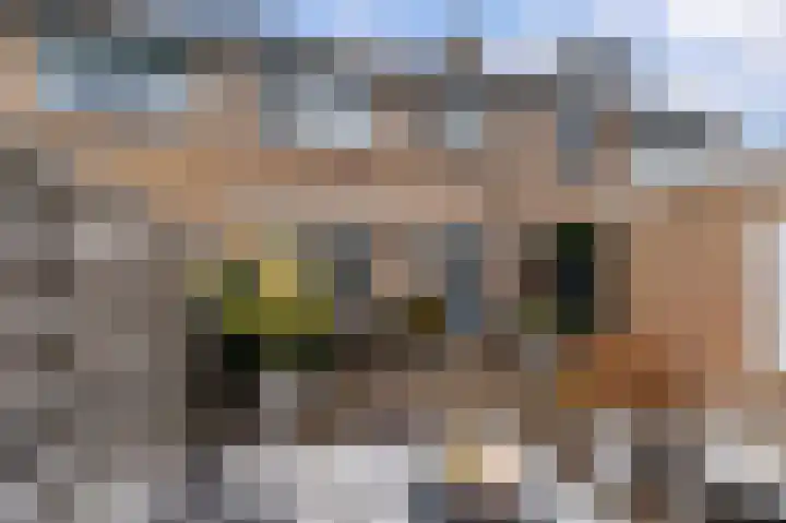 Rozenhof 17 Kortenhoef thumbnail 21
