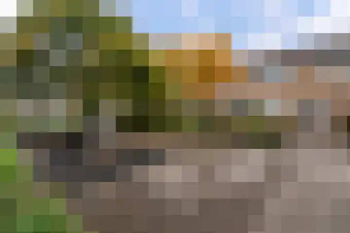 Rozenhof 17 Kortenhoef thumbnail 22
