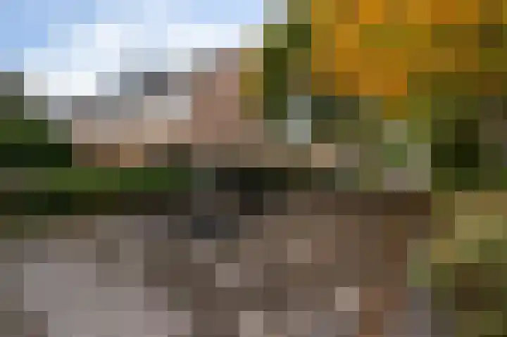 Rozenhof 17 Kortenhoef thumbnail 23